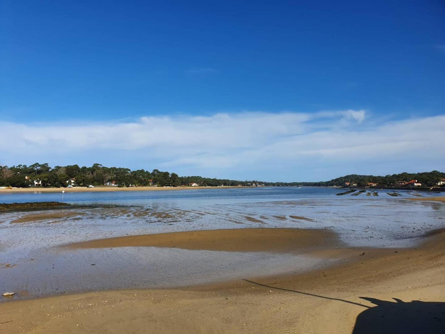 Terrasses Saint Georges - Un Emplacement Exceptionnel Au Centre-Ville Et Au Calme A Quelques Pas Du Lac Marin Soorts-Hossegor Exteriér fotografie